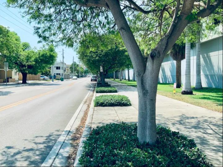 Apartments In The Heart Of Miami - Port Of Miami / Miami Airport Экстерьер фото